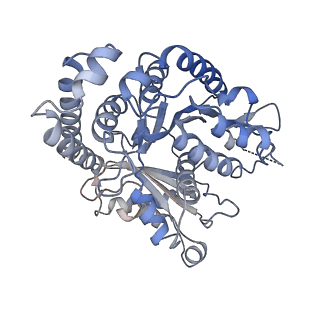 23084_7kzo_A6_v1-2
Outer dynein arm docking complex bound to doublet microtubules from C. reinhardtii