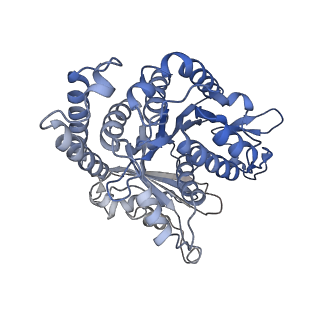 23084_7kzo_A7_v1-2
Outer dynein arm docking complex bound to doublet microtubules from C. reinhardtii