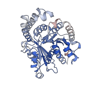 23084_7kzo_B2_v1-2
Outer dynein arm docking complex bound to doublet microtubules from C. reinhardtii