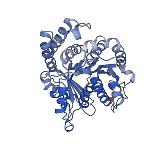 23084_7kzo_B3_v1-2
Outer dynein arm docking complex bound to doublet microtubules from C. reinhardtii