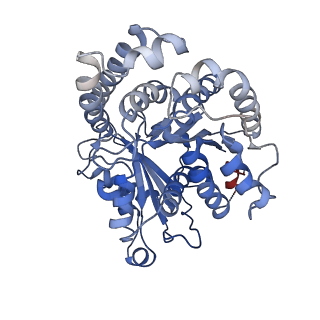 23084_7kzo_B4_v1-2
Outer dynein arm docking complex bound to doublet microtubules from C. reinhardtii