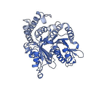 23084_7kzo_B5_v1-2
Outer dynein arm docking complex bound to doublet microtubules from C. reinhardtii