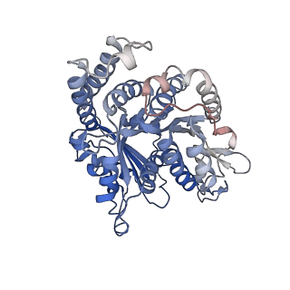 23084_7kzo_B7_v1-2
Outer dynein arm docking complex bound to doublet microtubules from C. reinhardtii