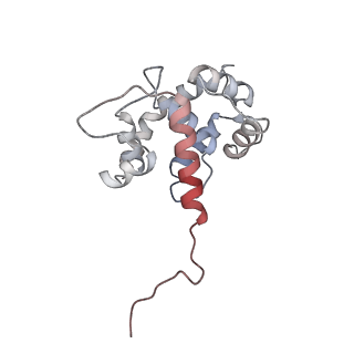 23084_7kzo_Z_v1-2
Outer dynein arm docking complex bound to doublet microtubules from C. reinhardtii