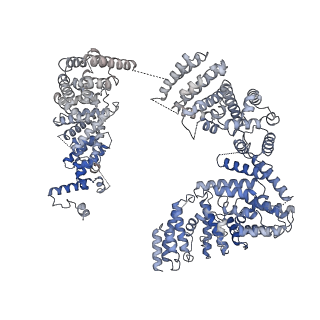 23085_7kzp_A_v1-2
Structure of the human Fanconi anaemia Core complex