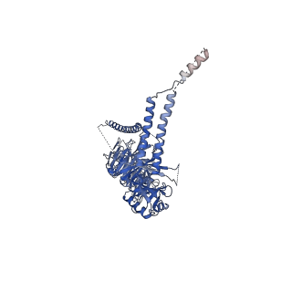 23085_7kzp_B_v1-2
Structure of the human Fanconi anaemia Core complex