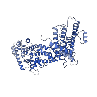 23085_7kzp_C_v1-2
Structure of the human Fanconi anaemia Core complex