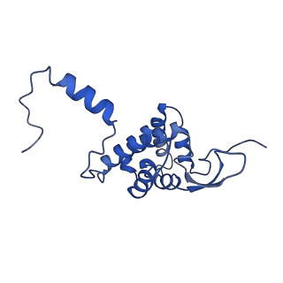 23085_7kzp_E_v1-2
Structure of the human Fanconi anaemia Core complex