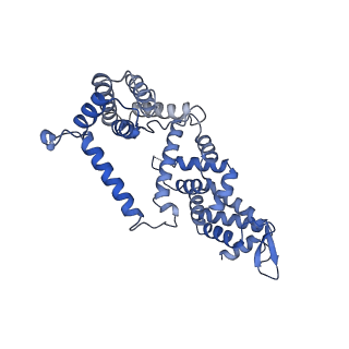 23085_7kzp_F_v1-2
Structure of the human Fanconi anaemia Core complex