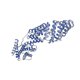 23085_7kzp_H_v1-2
Structure of the human Fanconi anaemia Core complex