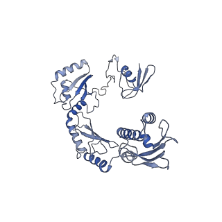 23085_7kzp_L_v1-2
Structure of the human Fanconi anaemia Core complex