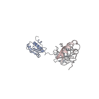 23085_7kzp_M_v1-2
Structure of the human Fanconi anaemia Core complex