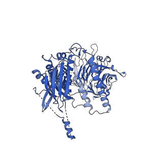 23085_7kzp_P_v1-1
Structure of the human Fanconi anaemia Core complex