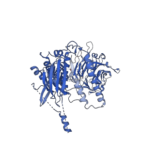 23085_7kzp_P_v1-2
Structure of the human Fanconi anaemia Core complex