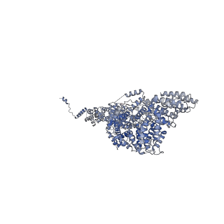 23085_7kzp_S_v1-2
Structure of the human Fanconi anaemia Core complex