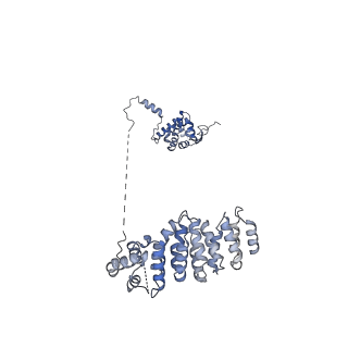 23086_7kzq_E_v1-2
Structure of the human Fanconi anaemia Core-ID complex