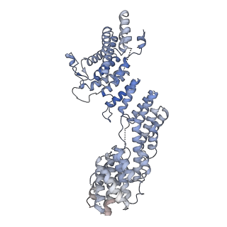 23086_7kzq_G_v1-2
Structure of the human Fanconi anaemia Core-ID complex