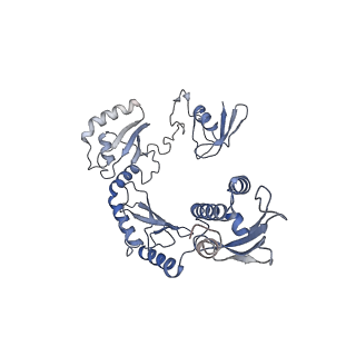 23086_7kzq_L_v1-2
Structure of the human Fanconi anaemia Core-ID complex