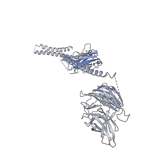 23086_7kzq_O_v1-2
Structure of the human Fanconi anaemia Core-ID complex