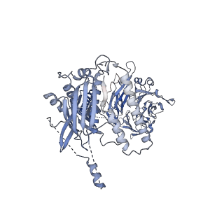 23086_7kzq_P_v1-1
Structure of the human Fanconi anaemia Core-ID complex