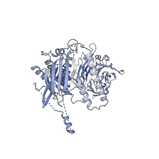 23086_7kzq_P_v1-2
Structure of the human Fanconi anaemia Core-ID complex