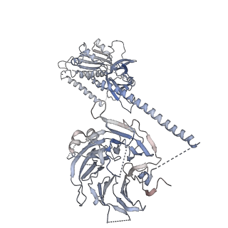 23086_7kzq_Q_v1-1
Structure of the human Fanconi anaemia Core-ID complex