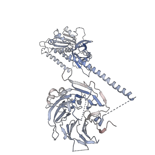 23086_7kzq_Q_v1-2
Structure of the human Fanconi anaemia Core-ID complex