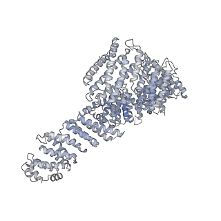 23086_7kzq_U_v1-1
Structure of the human Fanconi anaemia Core-ID complex