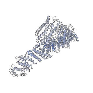 23086_7kzq_U_v1-2
Structure of the human Fanconi anaemia Core-ID complex