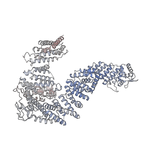 23086_7kzq_V_v1-2
Structure of the human Fanconi anaemia Core-ID complex