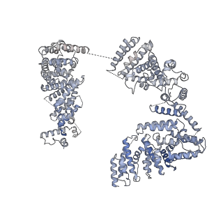 23087_7kzr_A_v1-1
Structure of the human Fanconi Anaemia Core-UBE2T-ID complex