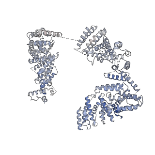 23087_7kzr_A_v1-2
Structure of the human Fanconi Anaemia Core-UBE2T-ID complex