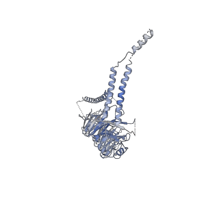 23087_7kzr_B_v1-1
Structure of the human Fanconi Anaemia Core-UBE2T-ID complex