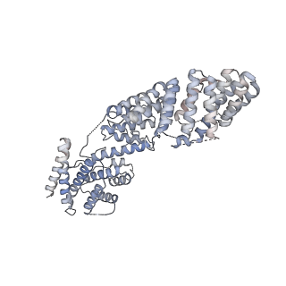 23087_7kzr_H_v1-1
Structure of the human Fanconi Anaemia Core-UBE2T-ID complex