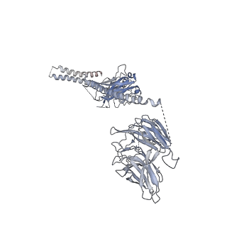 23087_7kzr_O_v1-2
Structure of the human Fanconi Anaemia Core-UBE2T-ID complex