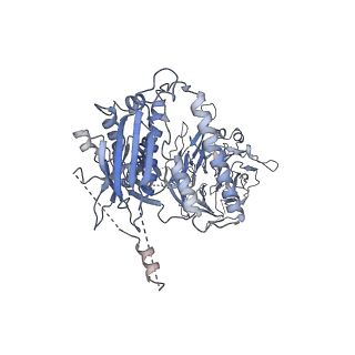 23087_7kzr_P_v1-1
Structure of the human Fanconi Anaemia Core-UBE2T-ID complex