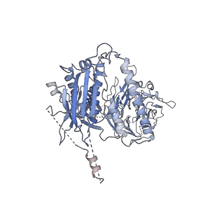 23087_7kzr_P_v1-2
Structure of the human Fanconi Anaemia Core-UBE2T-ID complex