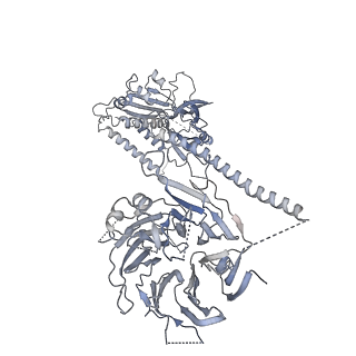 23087_7kzr_Q_v1-1
Structure of the human Fanconi Anaemia Core-UBE2T-ID complex