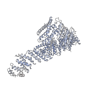 23087_7kzr_U_v1-1
Structure of the human Fanconi Anaemia Core-UBE2T-ID complex