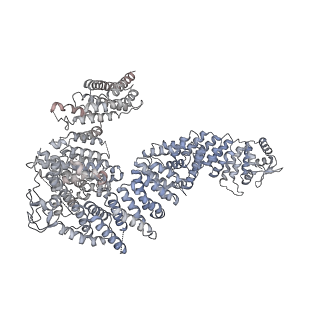 23087_7kzr_V_v1-1
Structure of the human Fanconi Anaemia Core-UBE2T-ID complex