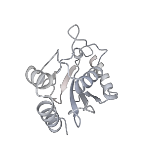 23087_7kzr_X_v1-1
Structure of the human Fanconi Anaemia Core-UBE2T-ID complex
