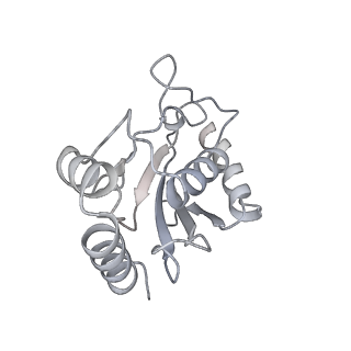 23087_7kzr_X_v1-2
Structure of the human Fanconi Anaemia Core-UBE2T-ID complex