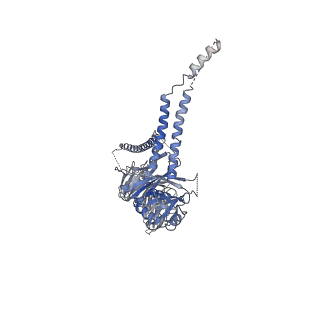 23088_7kzs_B_v1-1
Structure of the human fanconi anaemia Core-UBE2T-ID-DNA complex in open state