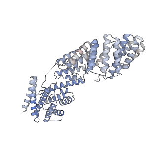 23088_7kzs_H_v1-1
Structure of the human fanconi anaemia Core-UBE2T-ID-DNA complex in open state