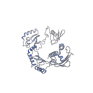 23088_7kzs_L_v1-1
Structure of the human fanconi anaemia Core-UBE2T-ID-DNA complex in open state