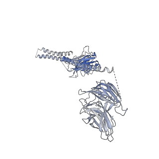 23088_7kzs_O_v1-1
Structure of the human fanconi anaemia Core-UBE2T-ID-DNA complex in open state