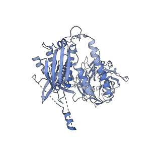 23088_7kzs_P_v1-1
Structure of the human fanconi anaemia Core-UBE2T-ID-DNA complex in open state