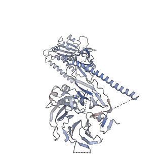 23088_7kzs_Q_v1-1
Structure of the human fanconi anaemia Core-UBE2T-ID-DNA complex in open state