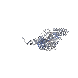 23088_7kzs_S_v1-1
Structure of the human fanconi anaemia Core-UBE2T-ID-DNA complex in open state