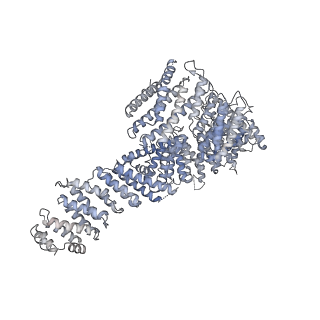 23088_7kzs_U_v1-1
Structure of the human fanconi anaemia Core-UBE2T-ID-DNA complex in open state
